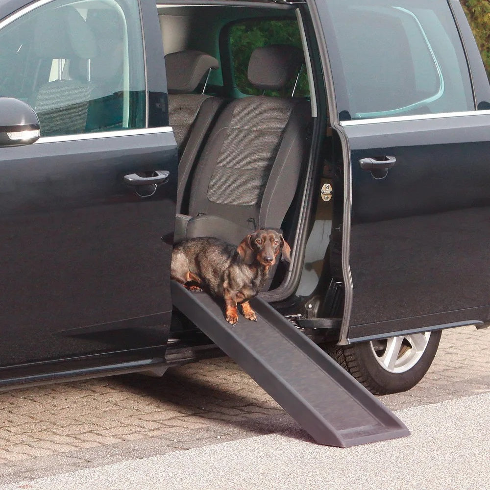 Ramp for pets